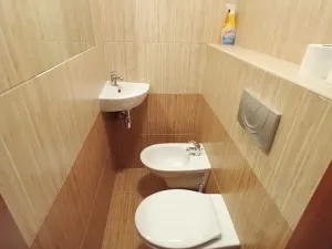 Pronájem bytu 2+kk, Jilemnice, 43 m2
