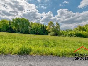 Prodej pozemku pro bydlení, Návsí, 2961 m2