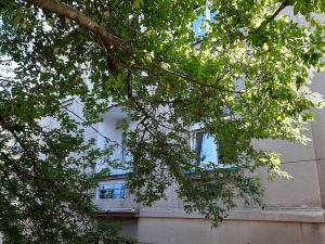 Pronájem bytu 2+kk, Praha - Břevnov, 8. listopadu, 45 m2