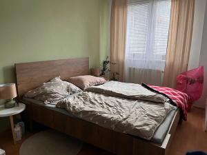 Pronájem bytu 2+kk, Olomouc, Handkeho, 55 m2