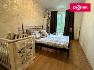 Pronájem bytu 2+kk, Zlín, Zelinova, 52 m2