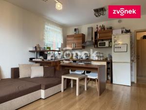 Pronájem bytu 2+kk, Zlín, Zelinova, 52 m2