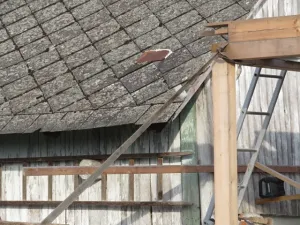 Dražba rodinného domu, Vlčí Habřina, 10 m2