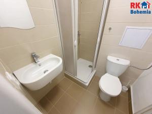 Pronájem bytu 1+1, Mladá Boleslav, Václavkova, 30 m2