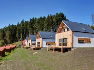 Prodej rodinného domu, Horní Planá, 110 m2