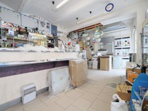 Prodej rodinného domu, Strakonice - Strakonice I, Hradební, 275 m2