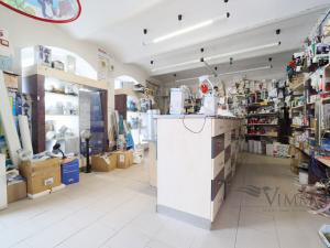 Prodej rodinného domu, Strakonice - Strakonice I, Hradební, 275 m2
