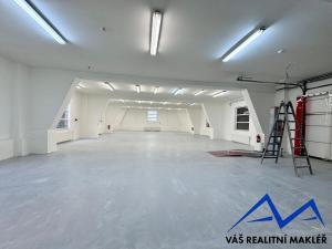 Pronájem výrobních prostor, Ostrava, Výhledy, 1180 m2