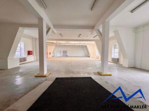 Pronájem výrobních prostor, Ostrava, Výhledy, 1180 m2