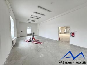 Pronájem výrobních prostor, Ostrava, Výhledy, 1180 m2