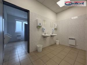 Pronájem skladu, Rokycany - Nové Město, Josefa Růžičky, 4150 m2
