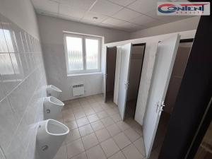 Pronájem skladu, Rokycany - Nové Město, Josefa Růžičky, 4150 m2