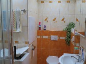 Pronájem bytu 1+1, Sušice - Sušice II, Sirkařská, 37 m2