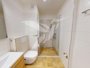 Pronájem bytu 1+1, Plzeň, Sokolovská, 36 m2