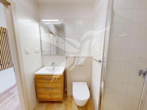 Pronájem bytu 1+1, Plzeň, Sokolovská, 36 m2