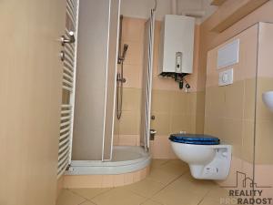 Pronájem bytu 1+kk, Hodonín, Příční, 28 m2