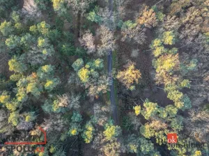 Prodej rodinného domu, Sezemice - Počaply, 125 m2
