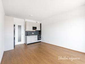 Pronájem bytu 1+kk, Praha - Hloubětín, Domalípova, 32 m2