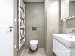 Pronájem bytu 1+kk, Praha - Hloubětín, Domalípova, 32 m2
