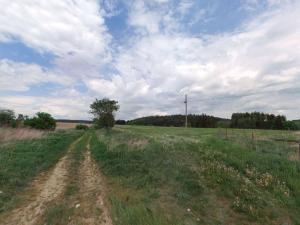 Prodej pole, Bor - Skviřín, 25422 m2