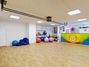 Prodej obchodního prostoru, Jihlava - Horní Kosov, Buková, 242 m2