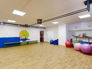 Prodej obchodního prostoru, Jihlava - Horní Kosov, Buková, 242 m2