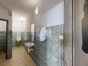 Prodej obchodního prostoru, Jihlava - Horní Kosov, Buková, 242 m2