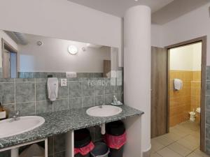 Prodej obchodního prostoru, Jihlava - Horní Kosov, Buková, 242 m2