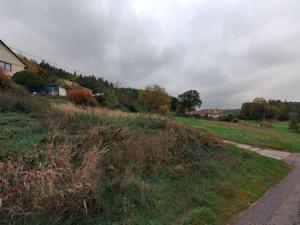 Prodej pozemku pro bydlení, Solenice, 1233 m2