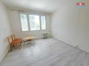 Pronájem bytu 1+kk, Milevsko, B. Němcové, 20 m2
