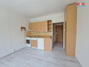 Pronájem bytu 1+kk, Milevsko, B. Němcové, 20 m2