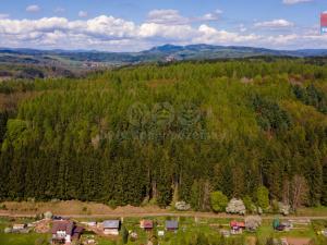 Prodej lesa, Trutnov, 3116 m2