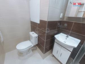 Pronájem bytu 1+1, Ústí nad Labem - Krásné Březno, Rozcestí, 41 m2
