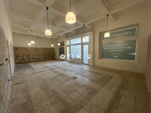Prodej obchodního prostoru, Brno, Fryčajova, 127 m2