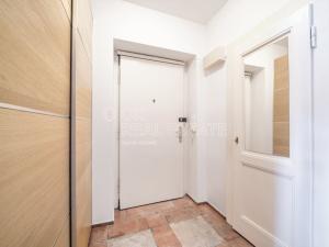Pronájem bytu 2+kk, Praha - Vinohrady, Písecká, 55 m2
