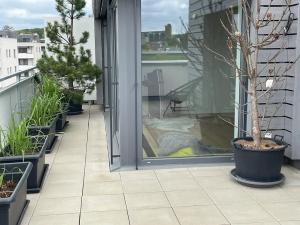 Prodej bytu 3+kk, Slavkov u Brna, Zelnice I, 91 m2