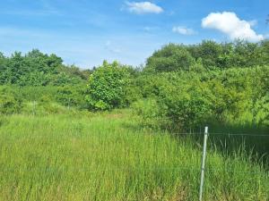 Prodej pozemku pro bydlení, Modlany - Drahkov, 1200 m2