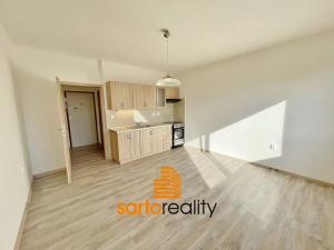 Pronájem bytu 2+kk, Ústí nad Labem, Ježkova, 41 m2