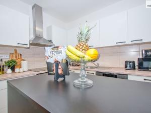 Pronájem bytu 3+kk, Liberec - Liberec II-Nové Město, Papírová, 94 m2