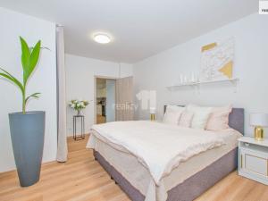 Pronájem bytu 3+kk, Liberec - Liberec II-Nové Město, Papírová, 94 m2