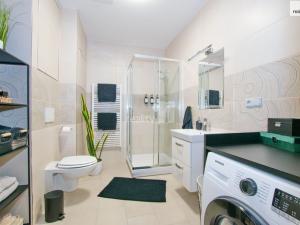 Pronájem bytu 3+kk, Liberec - Liberec II-Nové Město, Papírová, 94 m2