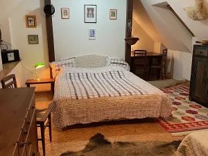 Prodej ubytování, Pluhův Žďár, 380 m2