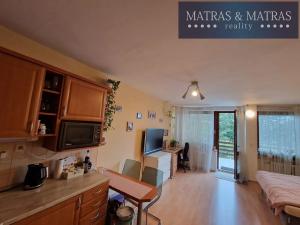 Pronájem bytu 1+kk, Brno, Slezákova, 40 m2