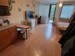 Pronájem bytu 1+kk, Brno, Slezákova, 40 m2