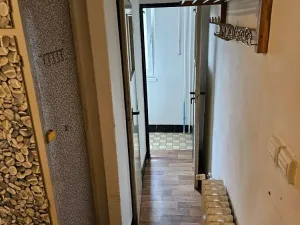 Prodej bytu 2+1, České Budějovice, Dobrovodská, 54 m2