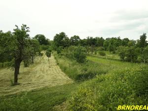 Prodej zahrady, Rousínov, 940 m2