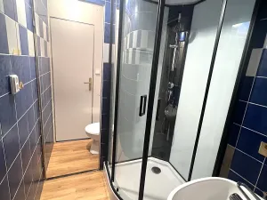 Pronájem bytu 1+1, Plzeň, Heyrovského, 39 m2