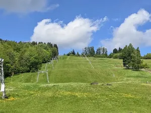 Prodej pozemku pro bydlení, Dolní Morava, 1432 m2