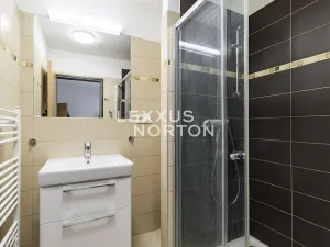 Pronájem bytu 3+kk, Praha - Karlín, Sokolovská, 84 m2