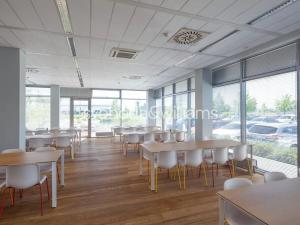 Pronájem skladu, Ostrava, Na Rovince, 11383 m2